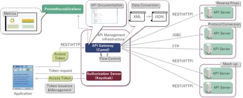 API management infrastructure
